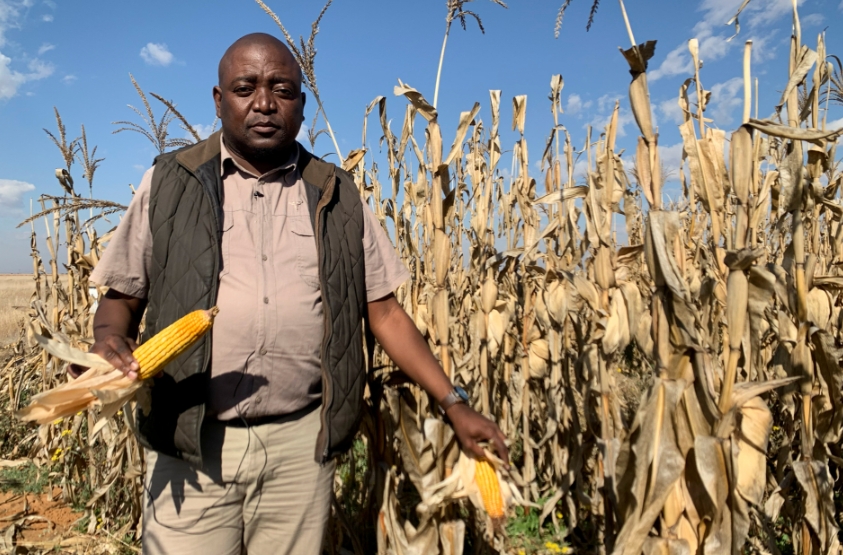 Agriculture en Afrique du Sud