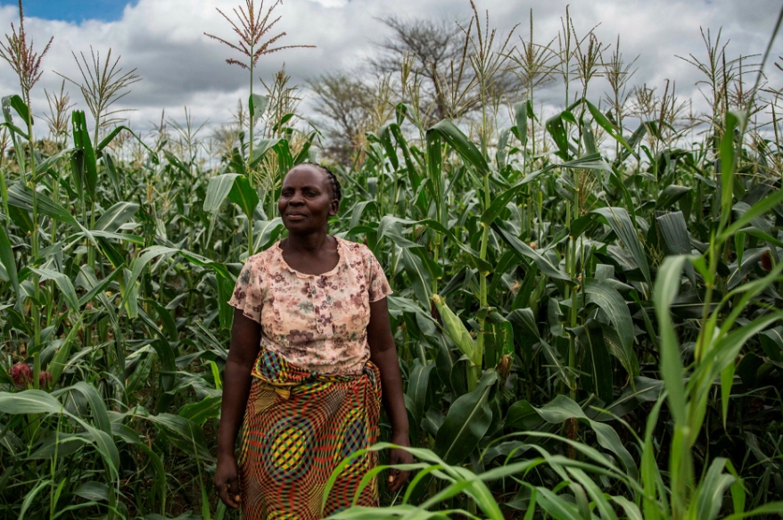 Agriculture en Afrique du Sud